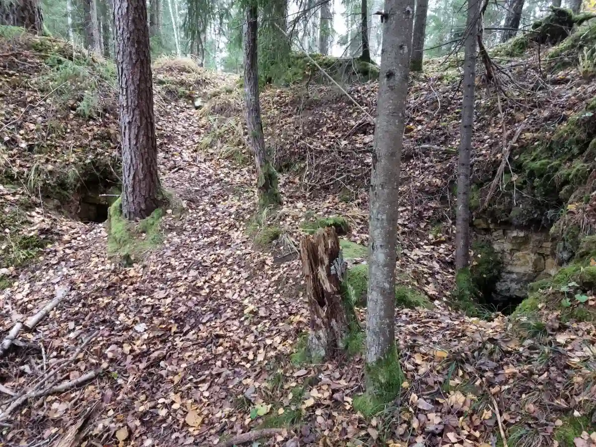 Iļāku alas: gandrīz noteikti - mākslīgi veidoti pagrabi. 2025. gada novembris.