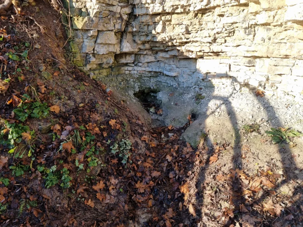 Iecavas Dievdārziņa avots. 2025. gada novembris.