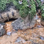 Simtēnu gravas dzelzsavoti. 2025. gada novembris.