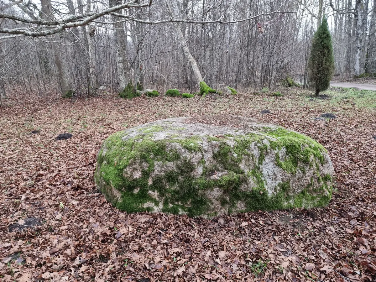 Ezerskolas Upurakmens. 2025. gada decembris.