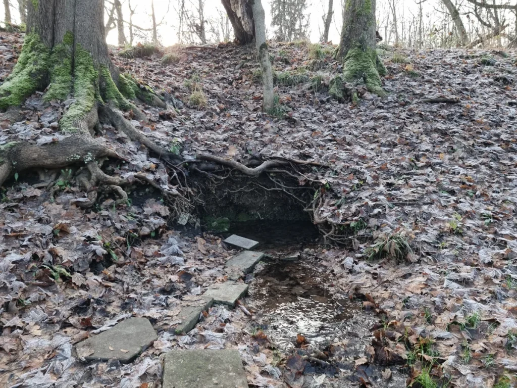 Iecavas avots. 2025. gada novembris.