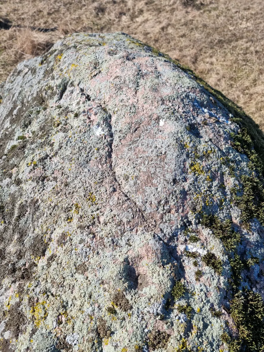 Kadaru bedrīšakmens – bedrītes un iekalumi. 2025. gada marts.