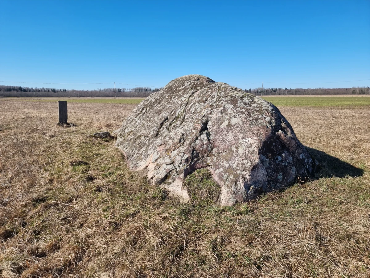 Kadaru bedrīšakmens. 2025. gada marts.
