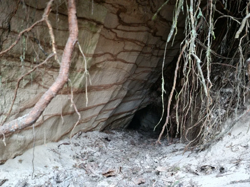 Kužu ala. 2025. gada decembris.