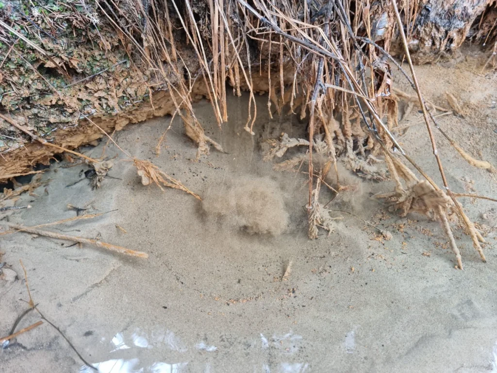 Līņu klinšu avots. 2024. gada aprīlis.