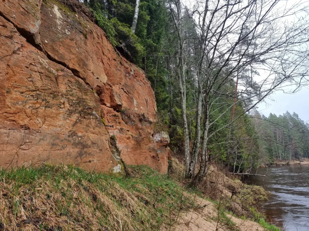 Līņu klintis. 2024. gada aprīlis.