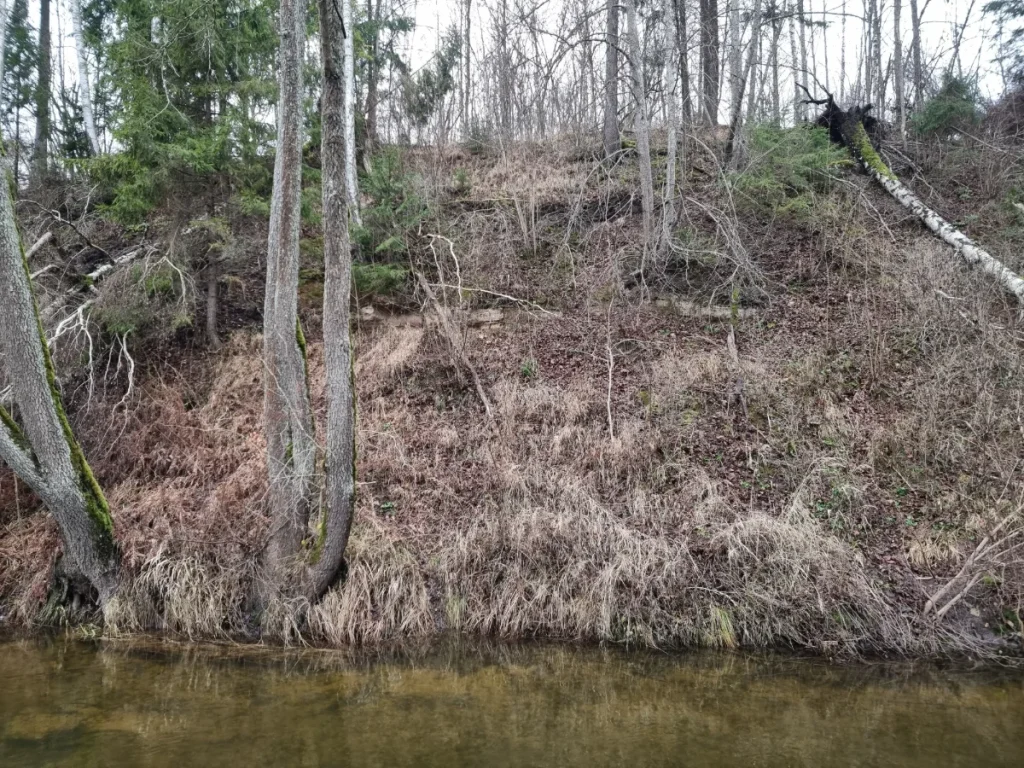 Nāriņas klints Vilces krastā. 2025. gada decembris.