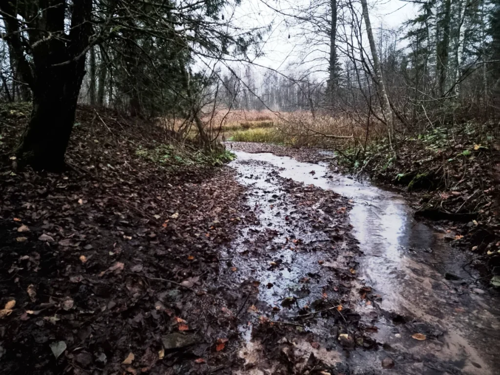 Olutovas avots. 2025. gada novembris.