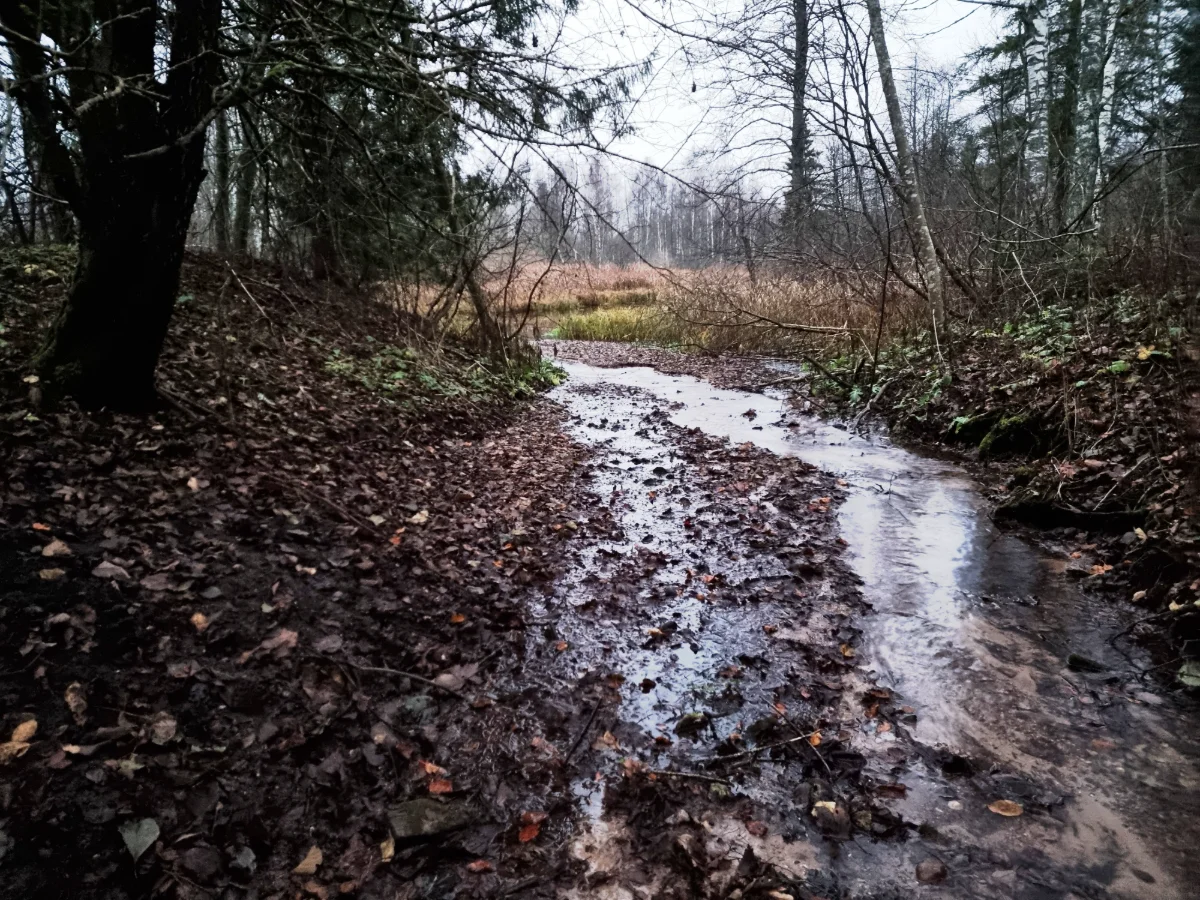 Olutovas avots. 2025. gada novembris.