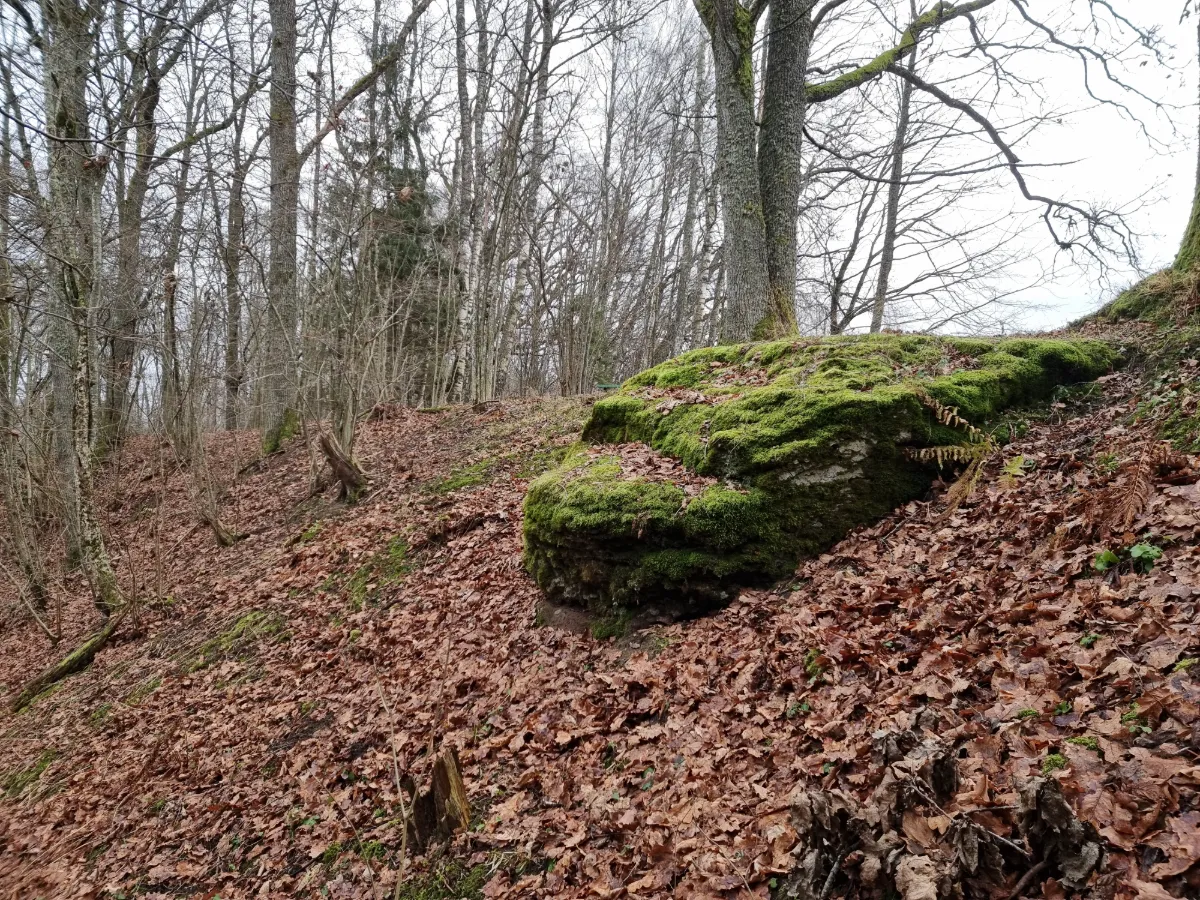 Rudzīšu akmens. 2025. gada decembris.