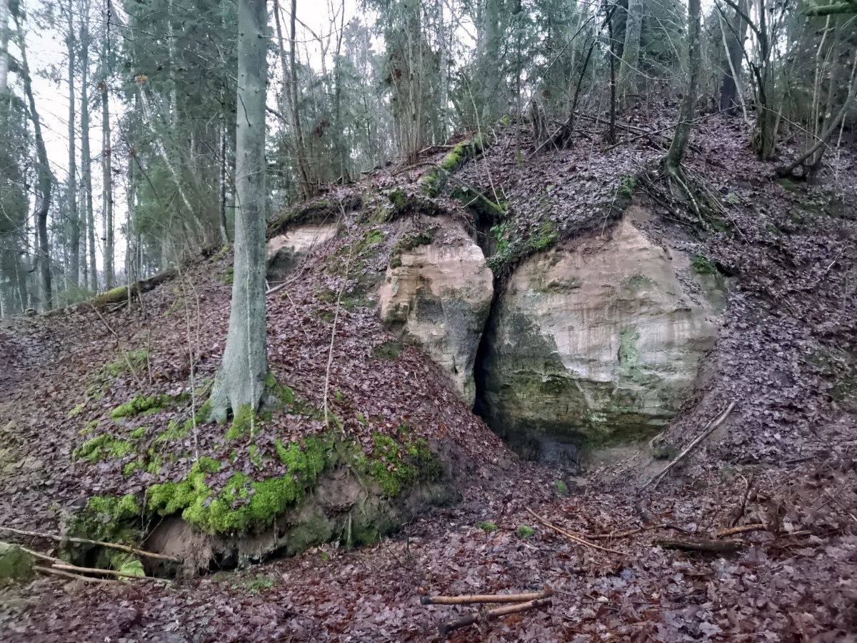 Vaidavas plaisala. 2025. gada decembris.