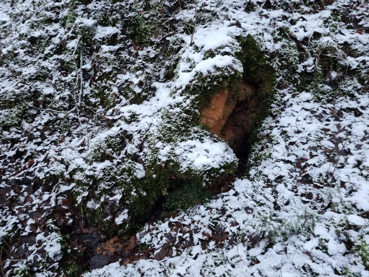 Mazais avotiņš starp Vidējo un Lielo Jaunapsīšu alām. 2025. gada novembris.