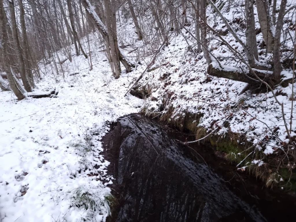 Mazās Velnalas avots. 2025. gada decembris.