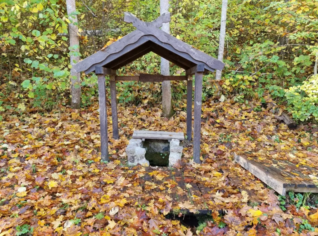 Lielmātes avotiņš. 2025. gada oktobris.