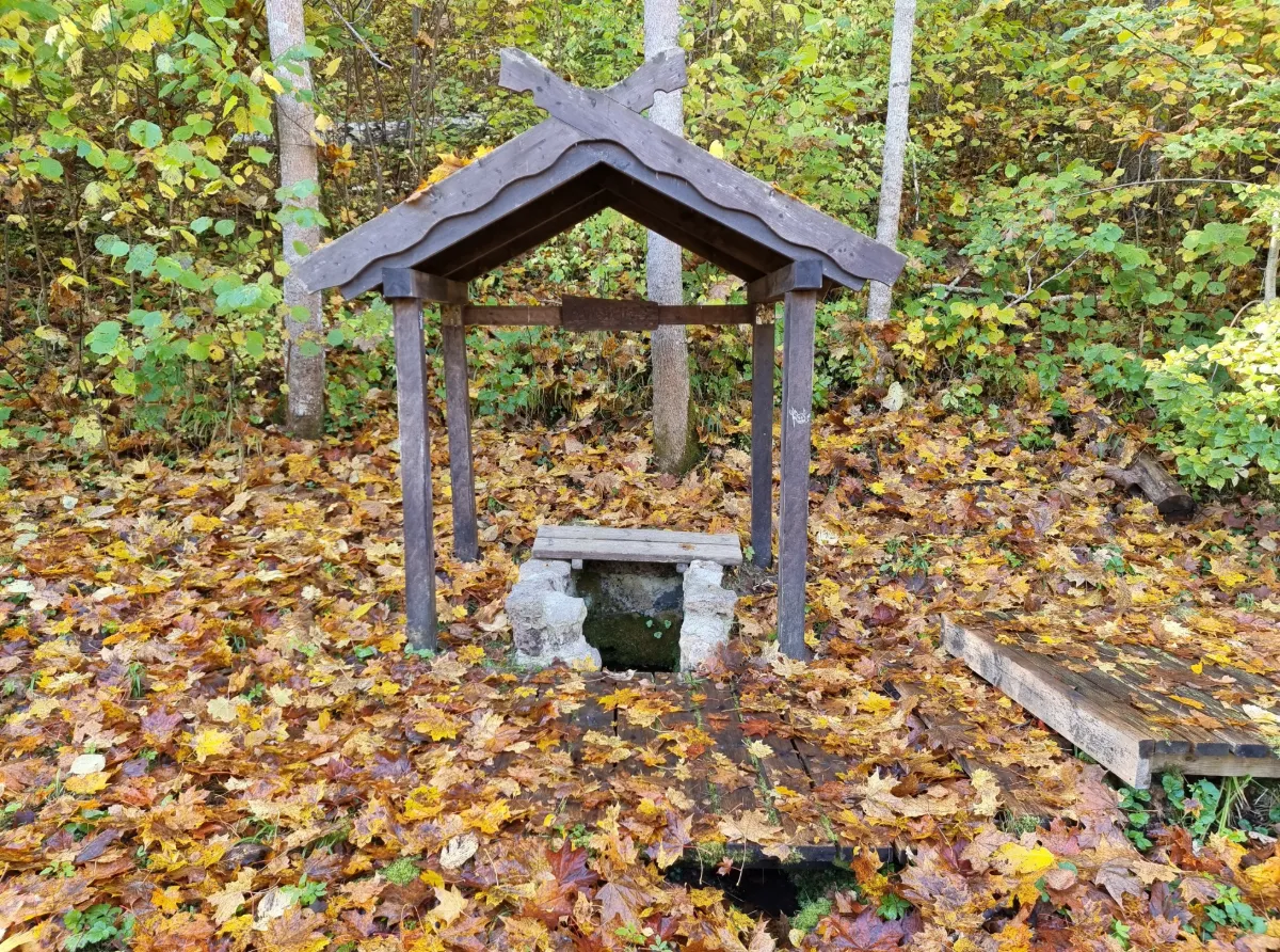 Lielmātes avotiņš. 2025. gada oktobris.