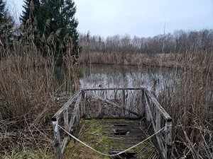 Jaroņa kritene (Jaronio duobė) 2024. gada decembris.